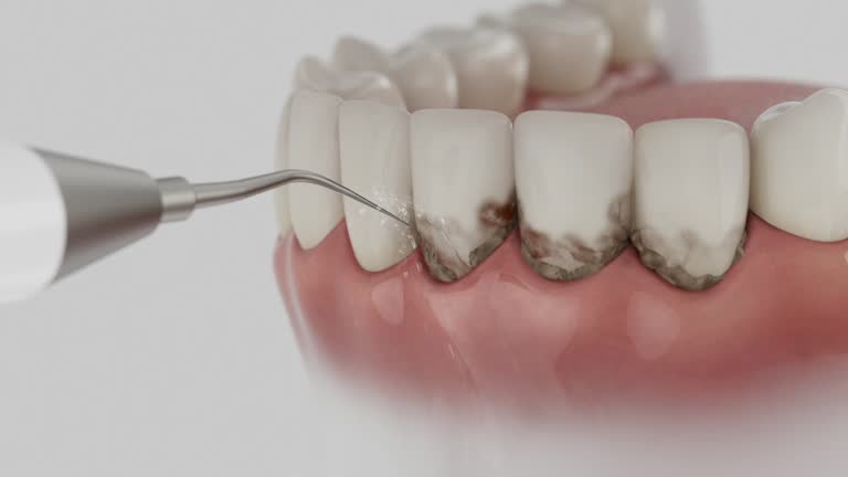 Reliable Dental contractor in Many, LA by Dentist Open Now